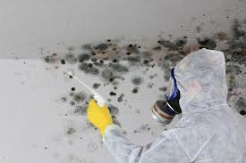 Best Real Estate Mold Inspection in Hendersonville, TN